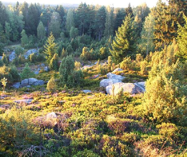 obrázek - Hadí vrch