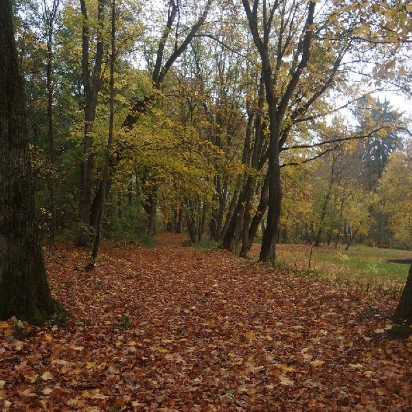 obrázek - Mařížský park